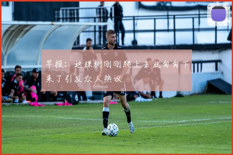 早报：这棵树刚刚爬上去就匆匆下来了引发众人热议