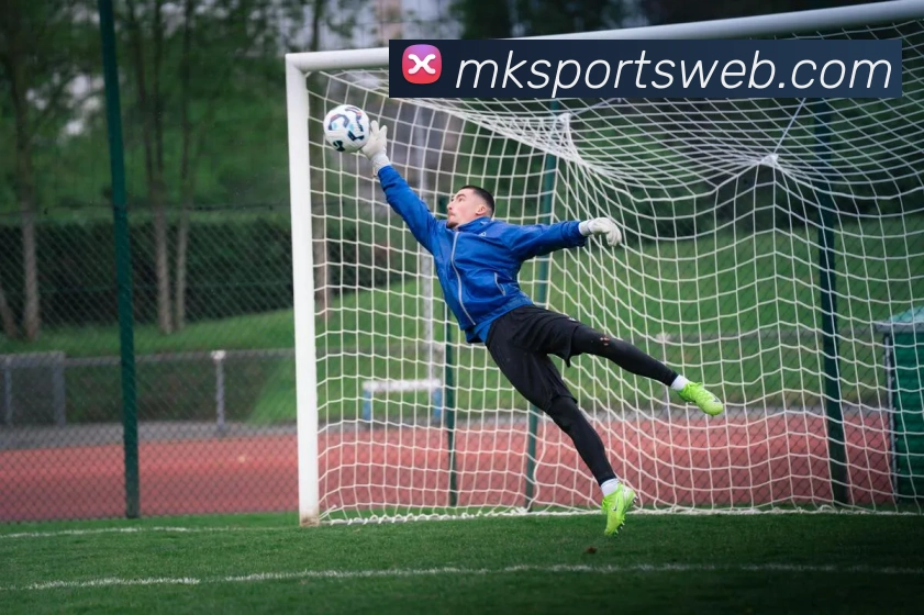 MK体育品牌故事